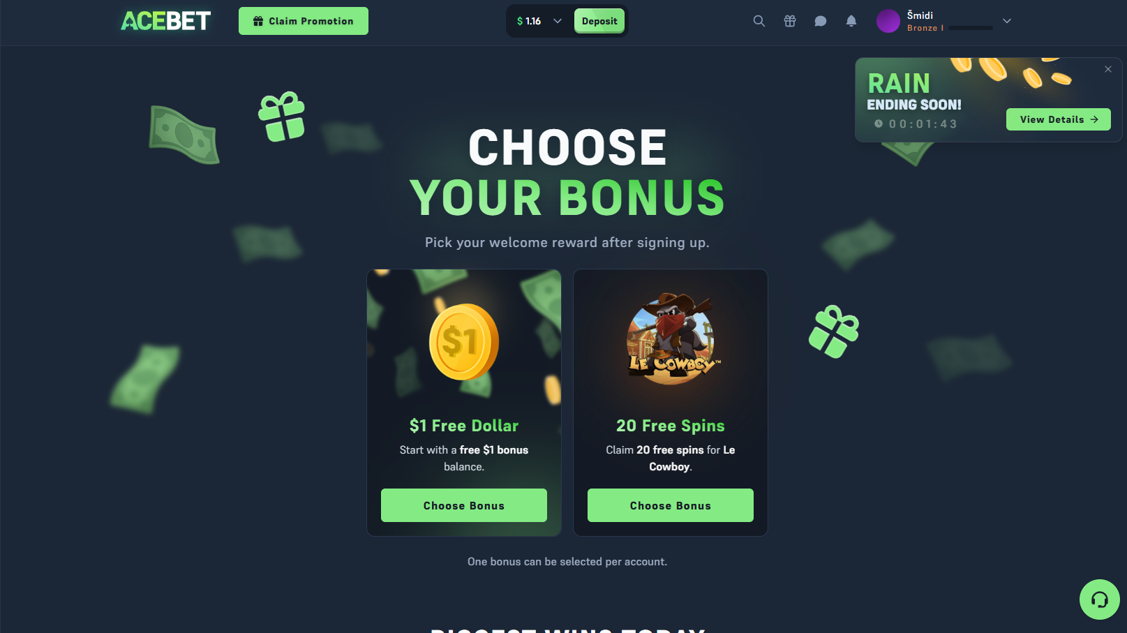 Acebet CS2 Gambling 2026 - Use code BINROLL for 100% Bonus up to $1,000
