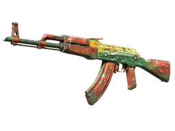 AK-47 | The Outsiders