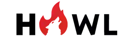 Howl.gg CS2 Gambling 2026 - Use code BINROLL for Deposit Doubled